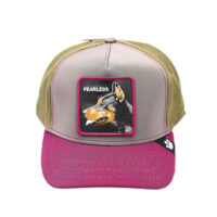 GORRA-GOORIN-FEARLESS-GOFEARLESSGR VISTA FRONTAL
