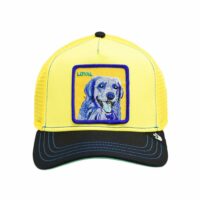 GORRA GOORIN BROS LOYAL PREMIUM Vista frontal